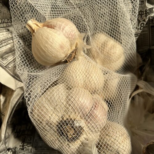 【家庭菜園】にんにく栽培中です！2021年10月～2022年1月途中経過【鉢植え】