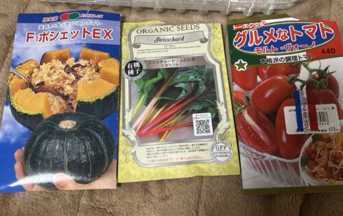 2022年夏野菜栽培計画始動！【鉢植え】ミニカボチャとトマトとスイスチャード種まき～育苗中【家庭菜園】