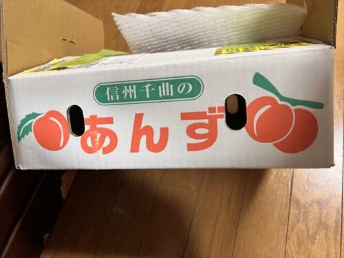 杏（あんず）仕事をやってみた。